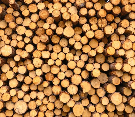 The opening of Canada’s first bioenergy facility owned by Indigenous people